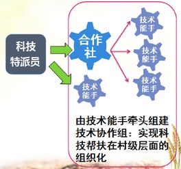天津市科技幫扶信息服務(wù)平臺(tái) 專(zhuān)業(yè)信息技術(shù)咨詢(xún)服務(wù)助力發(fā)展